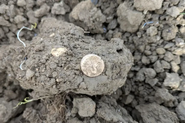 A British metal detectorist uncovered a rare Iron Age gold coin hoard in a Suffolk field, with the remarkable treasure later selling at auction for an impressive £33,200.